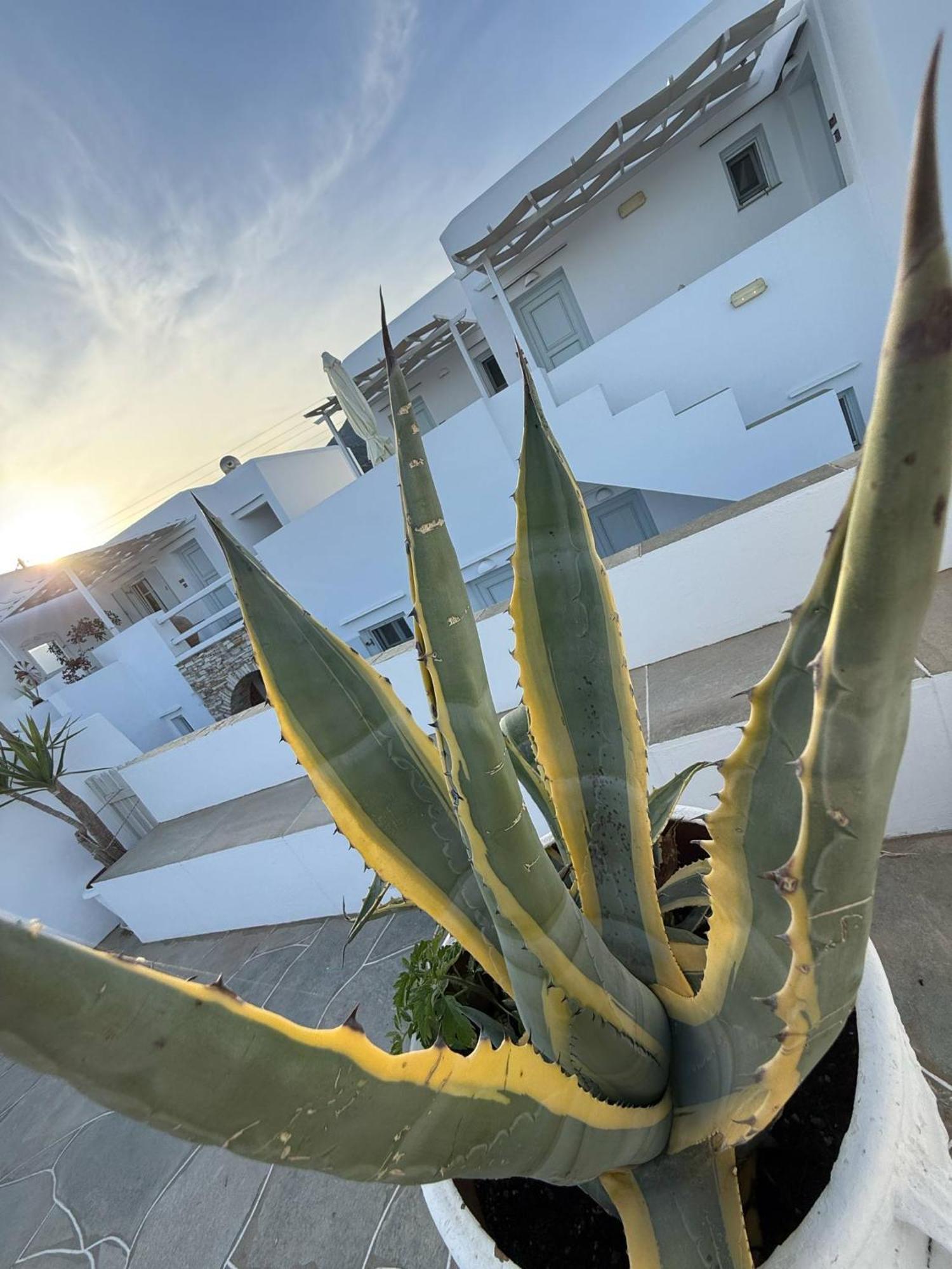 Kohylia Beach Guest House Platis Gialos  Exterior foto